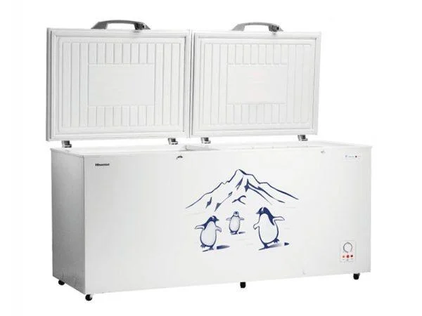 Hisense 660 Liter Multi-purpose Chest Freezer - FC-66DT4SA