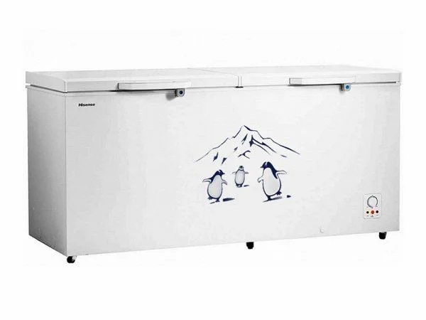 Hisense 660 Liter Multi-purpose Chest Freezer - FC-66DT4SA
