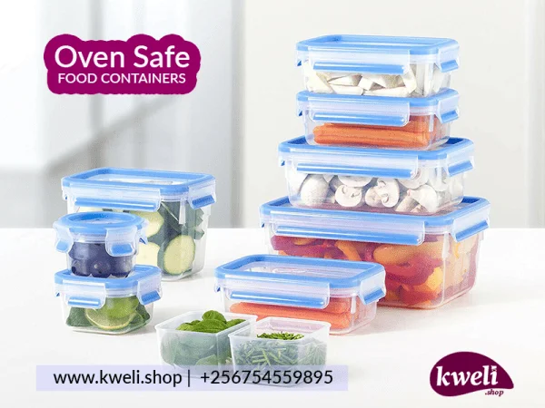 Ovensafe Food Containers