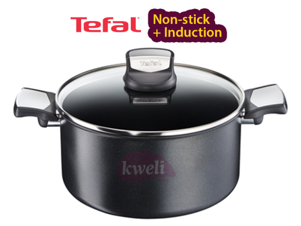 Tefal Extra Durable Non-stick Stewpot 24cm - C6204672 Gas, Electric and Induction Stewpot