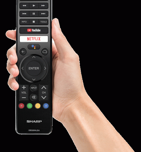Voice Activated Remote -