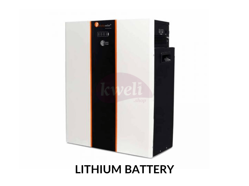 Felicity 150AH 48V Lithium Battery LPBF48150; 7.5kWh, Fast Charging, Long Lifespan, Made in China Lithium Batteries 3