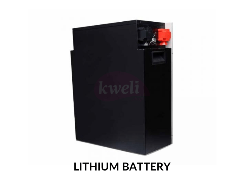 Felicity 150AH 48V Lithium Battery LPBF48150; 7.5kWh, Fast Charging, Long Lifespan, Made in China Lithium Batteries 4