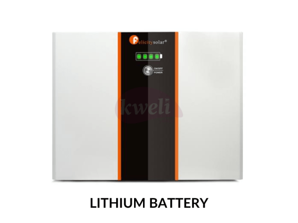 Felicity 200AH 24V Lithium Battery LPBF24200; 5kWh, Fast Charging, Long Lifespan, Made in China