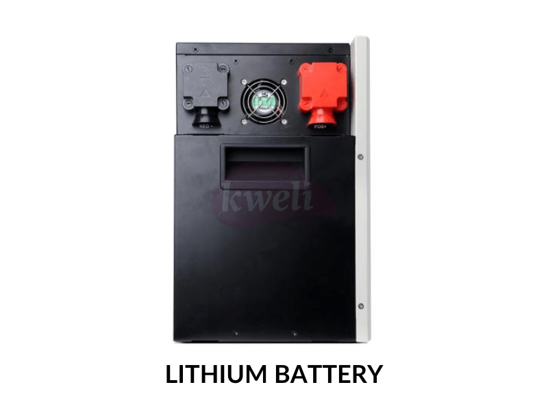 Felicity 200AH 24V Lithium Battery LPBF24200; 5kWh, Fast Charging, Long Lifespan, Made in China Lithium Batteries 5