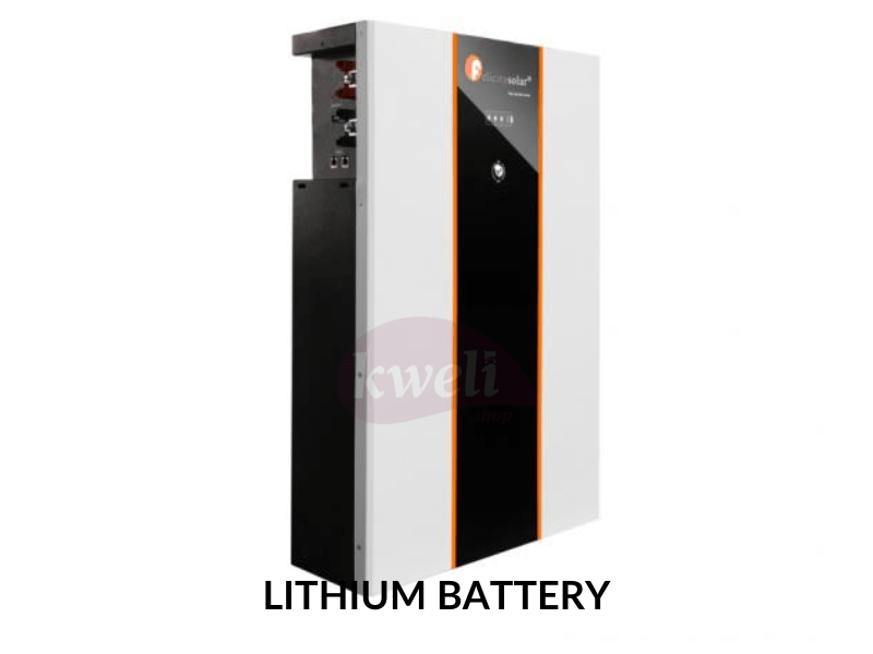 Felicity 200AH 48V Lithium Battery LPBF48200; 10kWh, Fast Charging, Long Lifespan, Made in China Lithium Batteries 6