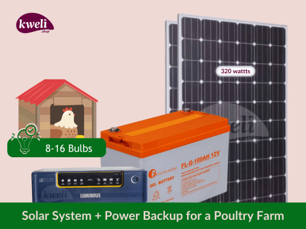 Kweli Solar System & Power Power Backup for a Poultry Farm upto 16 Bulbs; Light up for 12-24 hours