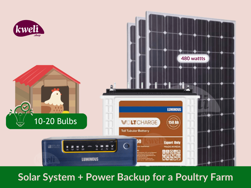 Kweli Solar System & Power Power Backup for a Poultry Farm upto 20 Bulbs; Light up for 14-28 hours Complete Solar Systems 2