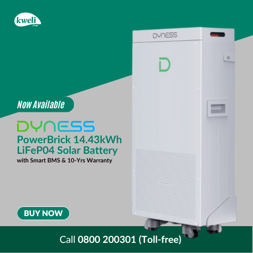 Dyness PowerBrick now available desktop 1 -