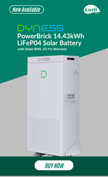 NEW Dyness PowerBrick 14.33kWh 51.2V LiFePO₄ Lithium Solar Battery -