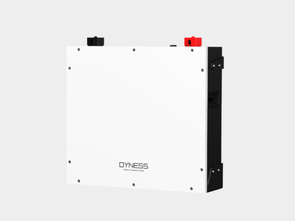 Dyness 5.12kWh 51.2V Lithium Solar Battery DL5.0C; 100Ah, 50A Recommended, 100A Max Discharge, 6000+ Cycles, Scalable to 256kWh Solar Batteries