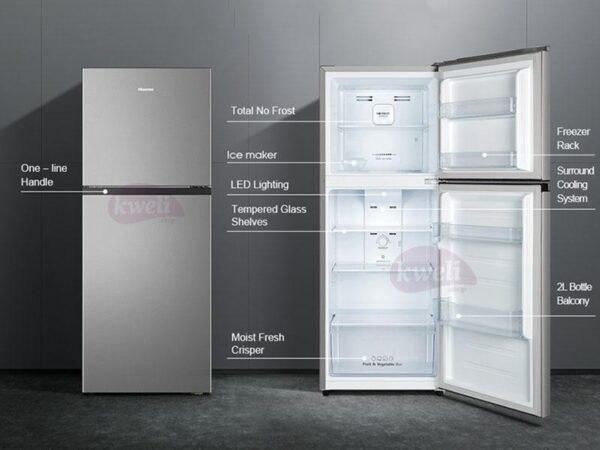 Hisense 266L Double Door Refrigerator RT266N4DGN