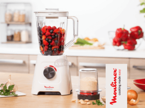 Moulinex Smoothie Blender LM422127