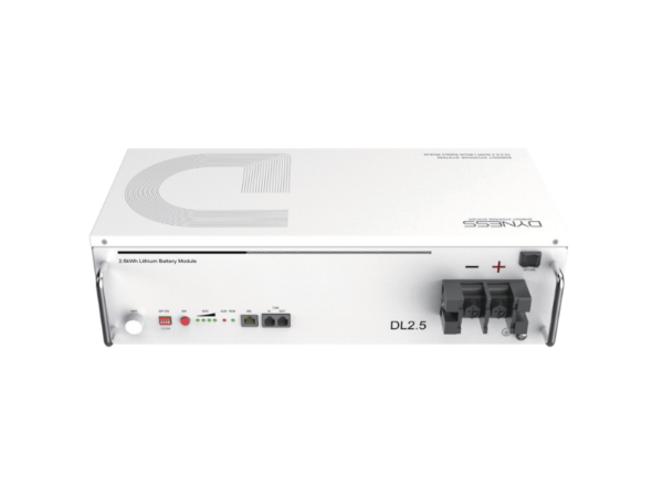 Dyness 2.56kWh 25.6V LiFePO₄ Lithium Solar Battery DL2.5 C